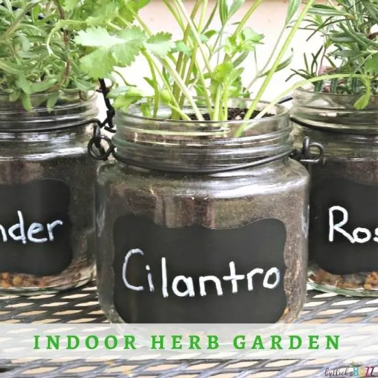 diy hanging herb garden preview