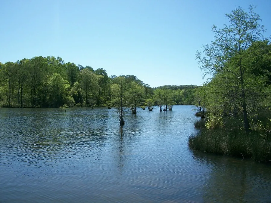 woods of Oklahoma Broken Bow lake