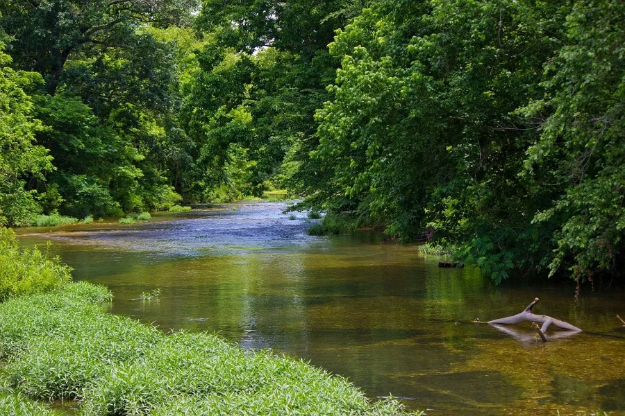 woods of oklahoma river