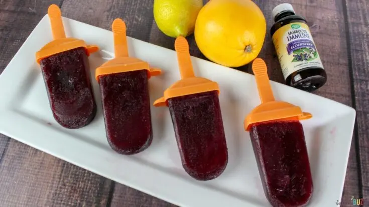 Elderberry Popsicles