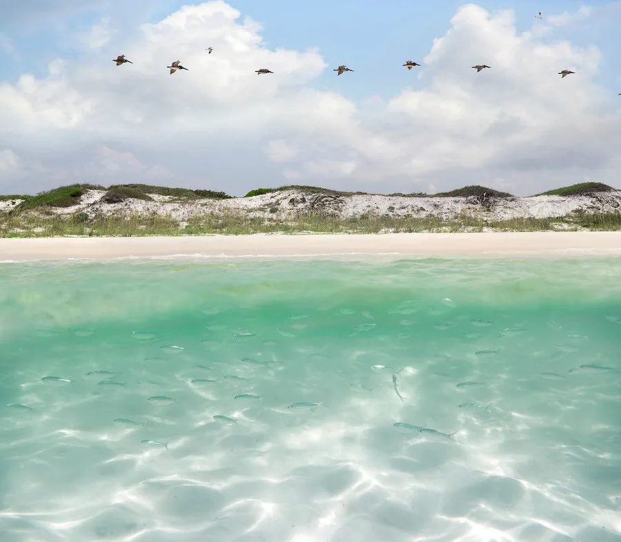 money saving vacation tips book off season in destin