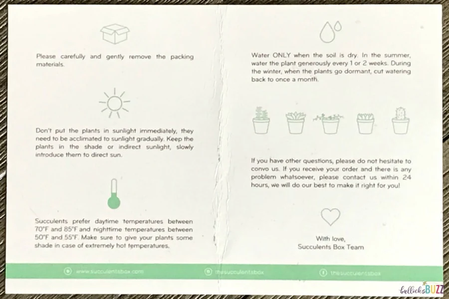 succulents box care instructions