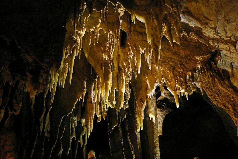 Mammoth Cave National Park