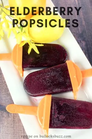 elderberry popsicles