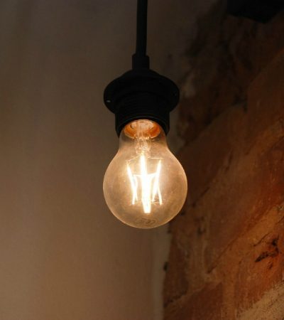 electric light bulb