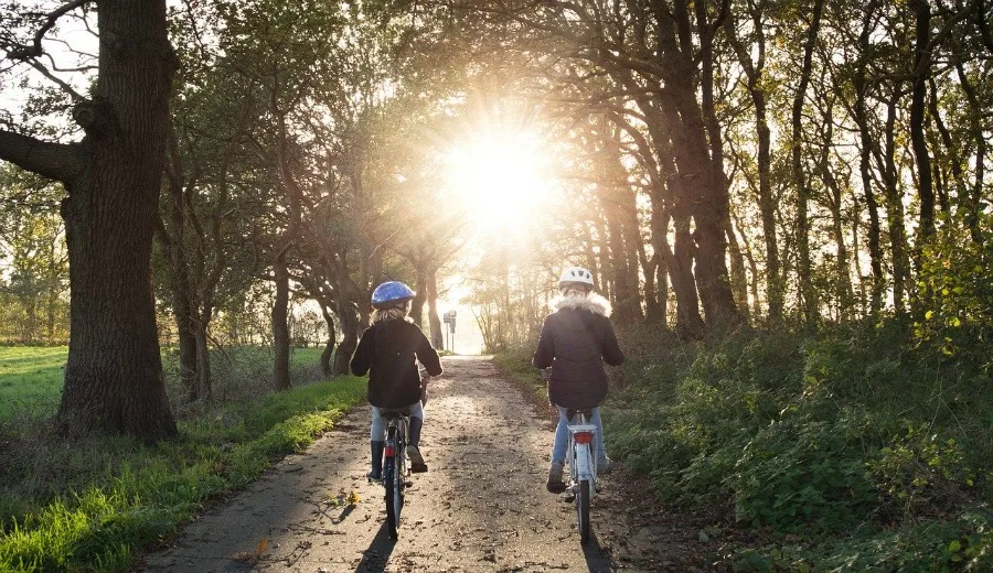 biking in the woods as an environmental benefits of biking