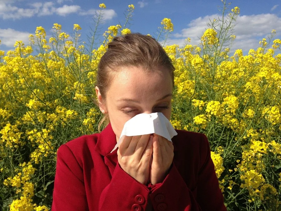 pollen allergy cleaning tips for allergy sufferers