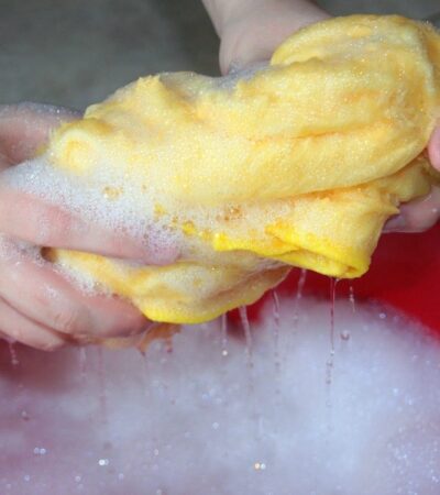 keep you home disease-free with these simple tips