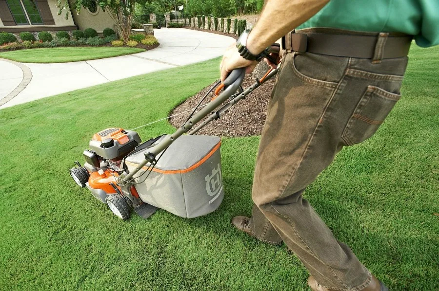 another way of getting rid of a lawn full of weeds is to regularly mow