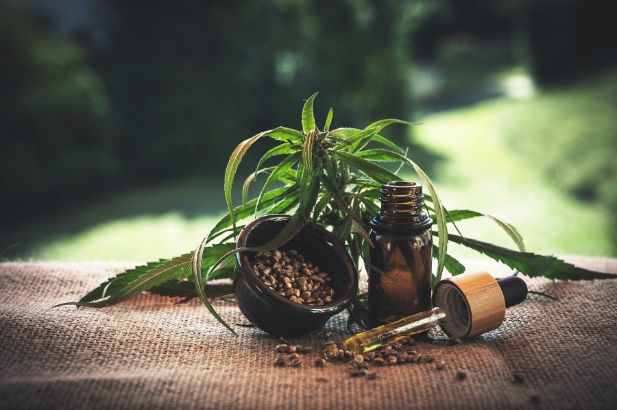 types of cbd for pets