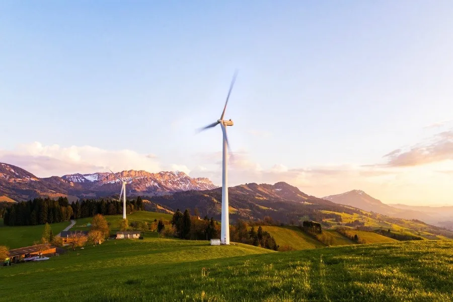 using a renewable energy source like these wind turbines are one way to make your home eco-friendly