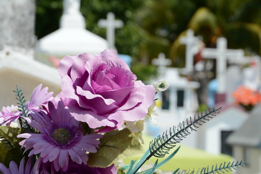 flowers at a graveyard