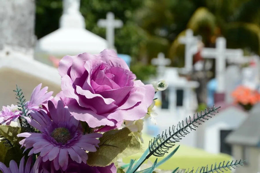 flowers at a graveyard