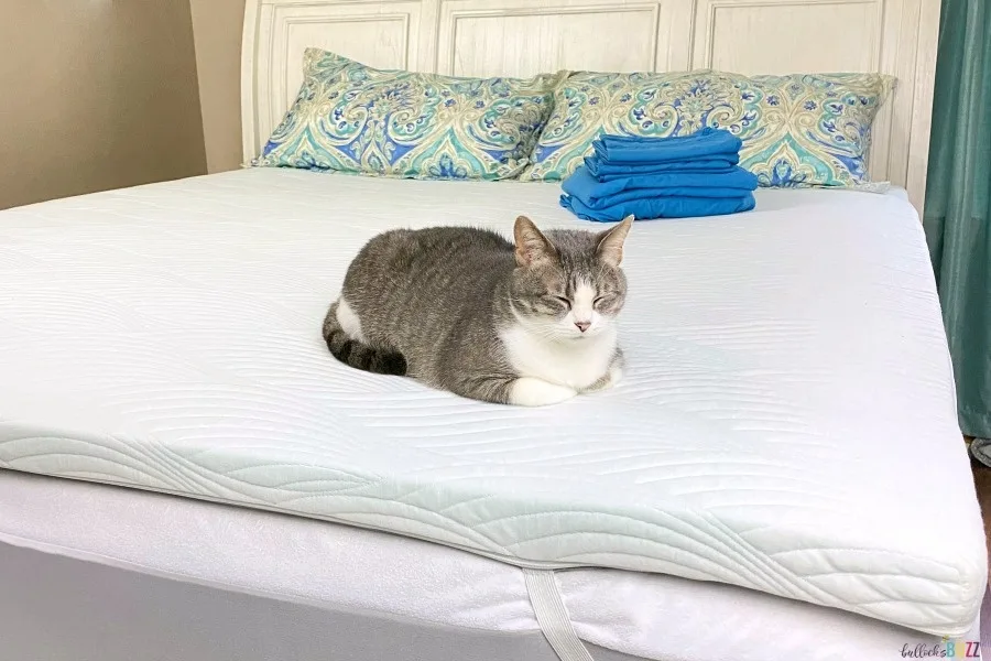 cat sleeping on nest bedding Cooling Mattress Topper