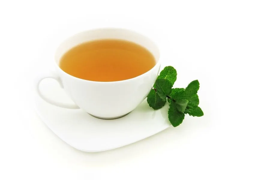 white cup of green tea with fresh mint leaves on the side