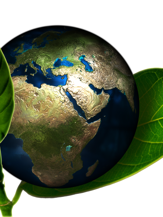 the planet Earth nestled between two leaves to signify the importance of practicing everyday sustainable habits to protect the planet