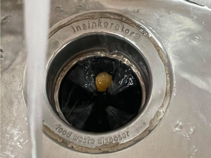 disposal cleaner capsule in sink