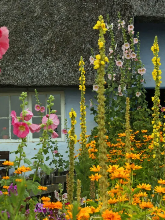 tips on finding the best freelance landscaper so you can have a flower garden like this one.