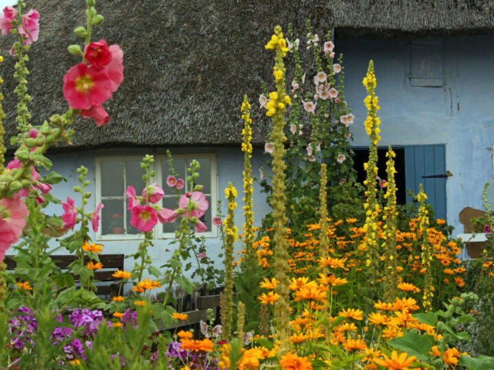 tips on finding the best freelance landscaper so you can have a flower garden like this one.