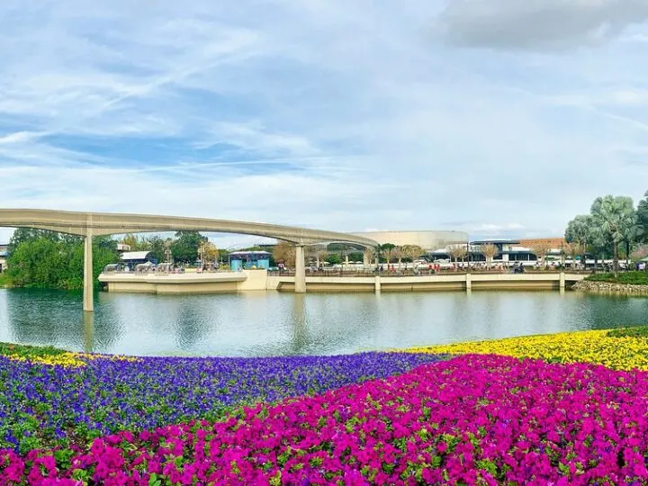 flowers in Epcot