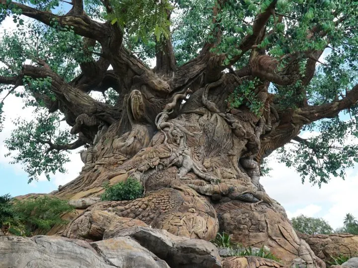 Tree of Life