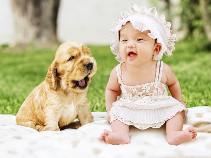 how to introduce your dog to your newborn baby so they'll be friends like this puppy and baby are