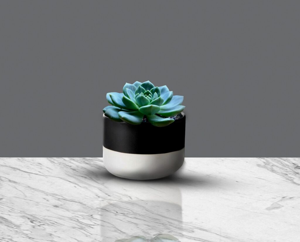 plant holder on marble countertop