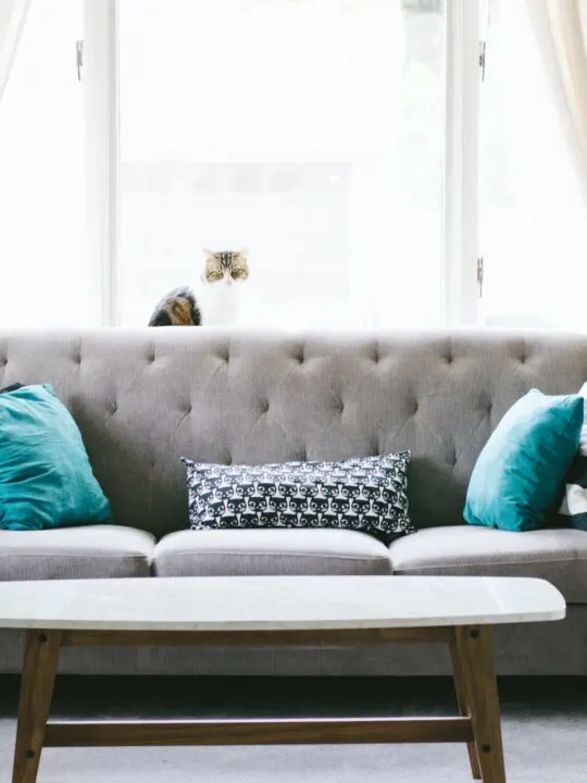 couch in an apartment