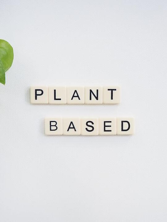 plant based diet spelled out with letter tiles
