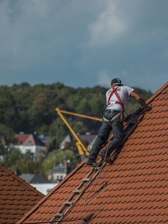 tips on how to care for your roof