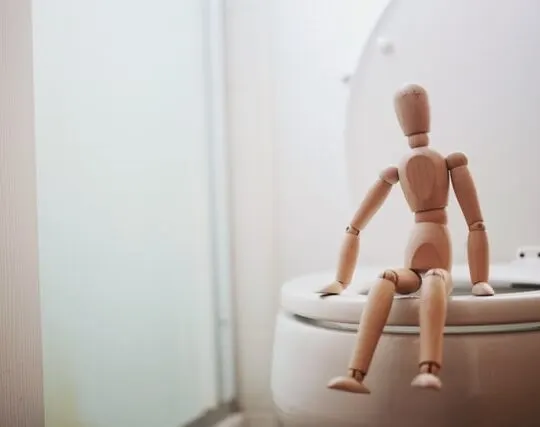 wooden doll on toilet representing incontinence