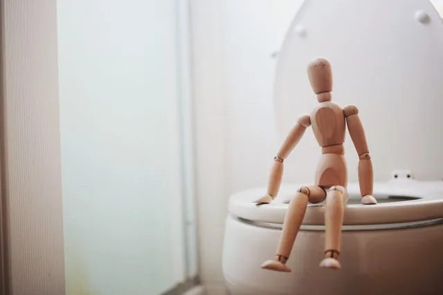 wooden doll on toilet representing incontinence