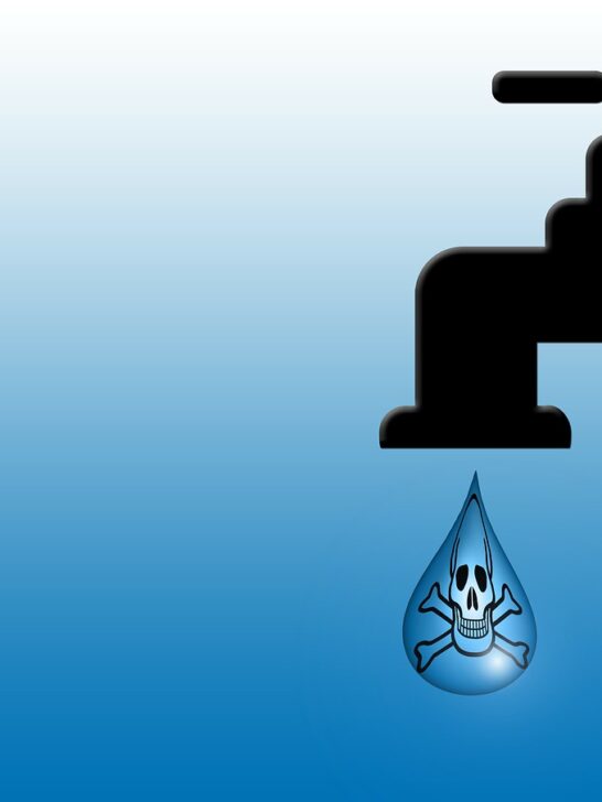 skull and crossbones inside a drop of water illustrating contaminated water in Camp Lejeune