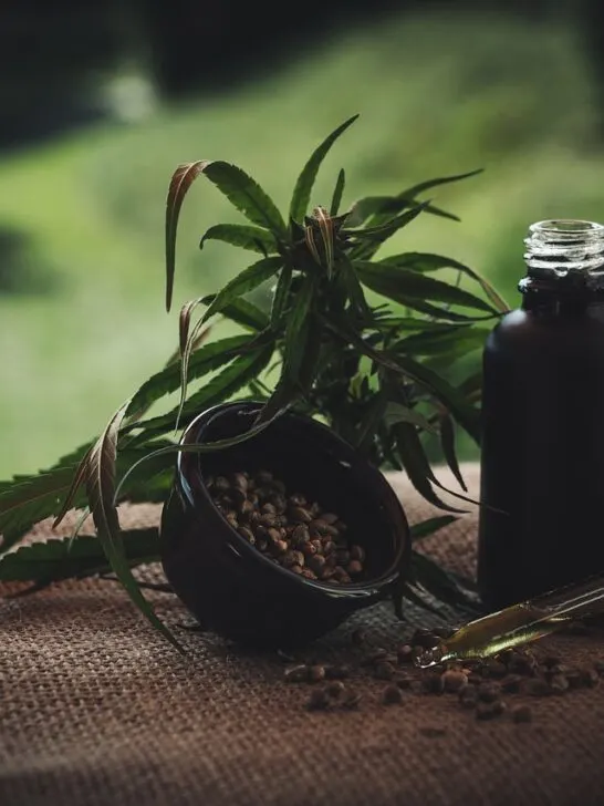 ways to consume broad-spectrum CBD oil