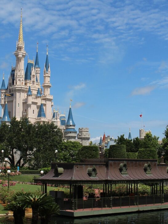 Disney castle and tips on how to visit Disney for almost free
