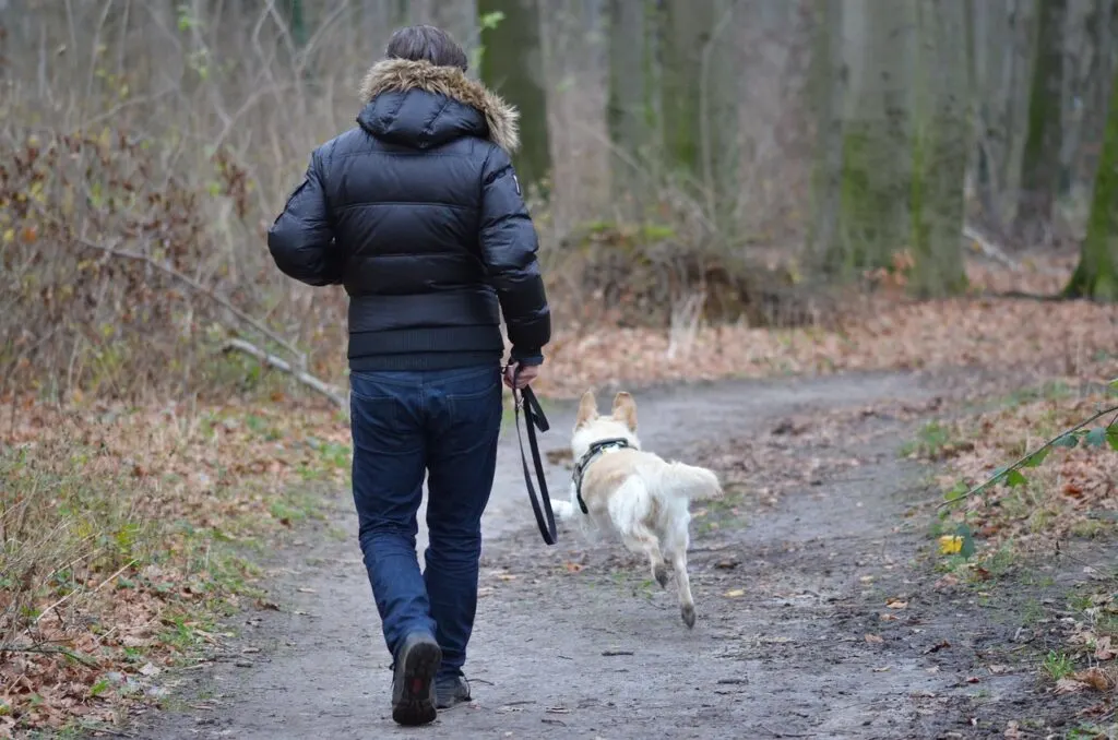 exercise like this man walking his dog is key to diabetes and the holidays