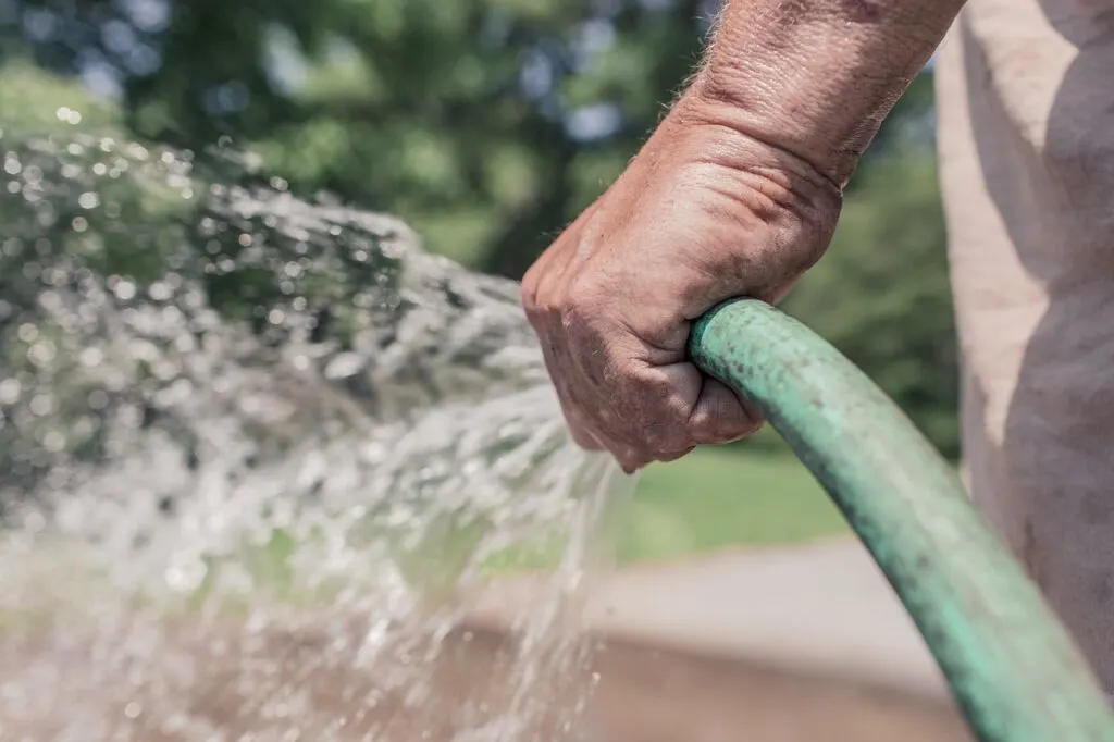 older man watering the garden as part of gardening as you age