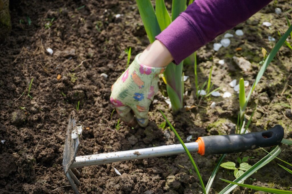 a person wearing gloves and planting bulbs in a garden