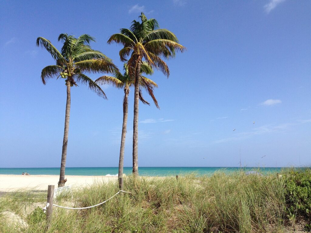 hollywood florida beach