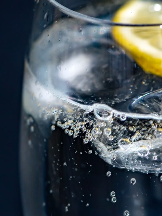 This glass of tonic water with a lemon can actually benefit you. Read on to learn about premium toonic water's health benefits.