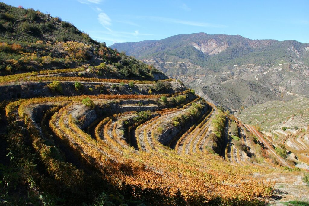 the wine country is one of the top reasons to visit Cyprus