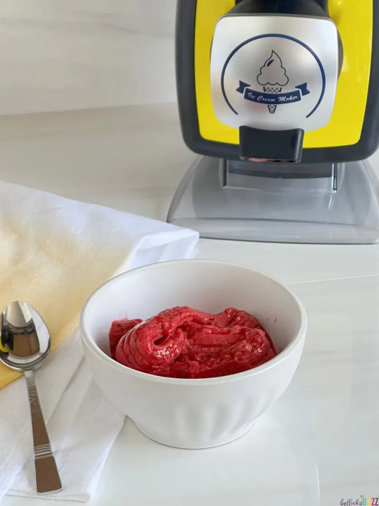 bowl half filled with sorbet sitting in front of the sorbet maker