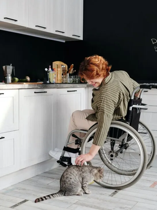 woman in wheelchair petting her cat in front of lowered countertops which is one way to make your home more handicap accessible