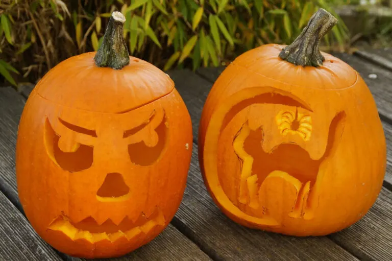 two carved pumpkins sitting on a porch. One is a cat with a spider the other is a spooky face