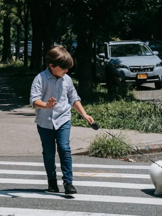 A young boy using the crosswalk to walk his dog across the street. One of the key road safety tips for kids parents should teach.