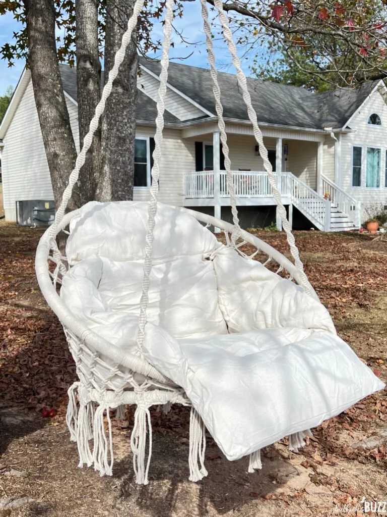 Side angle of chair hanging from tree limb