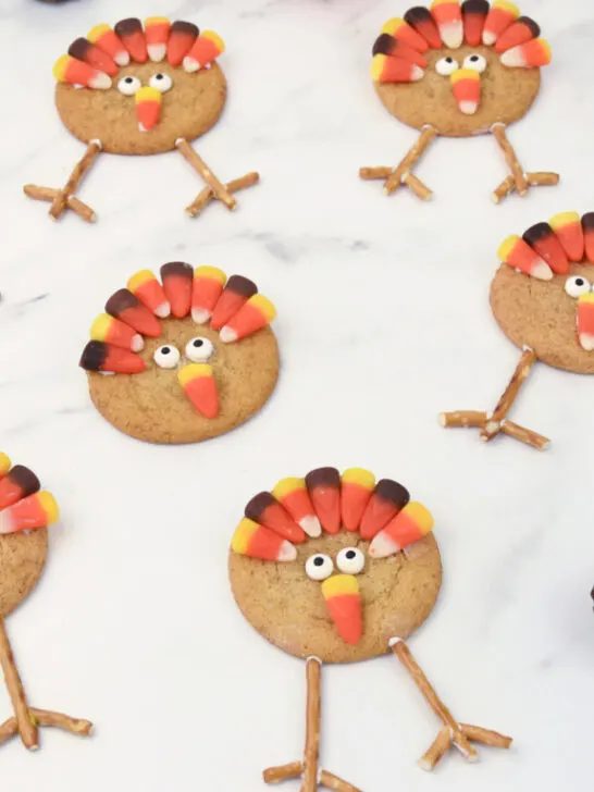 Several Turkey Cookies on a white background