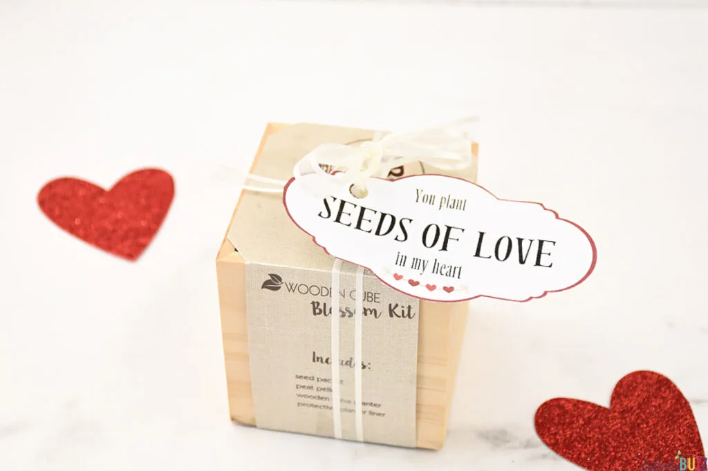 A wooden seed kit box with a printable tag reading 'You Plant Seeds of Love in My Heart', prepared as a gift for the 14 Days of Valentines.