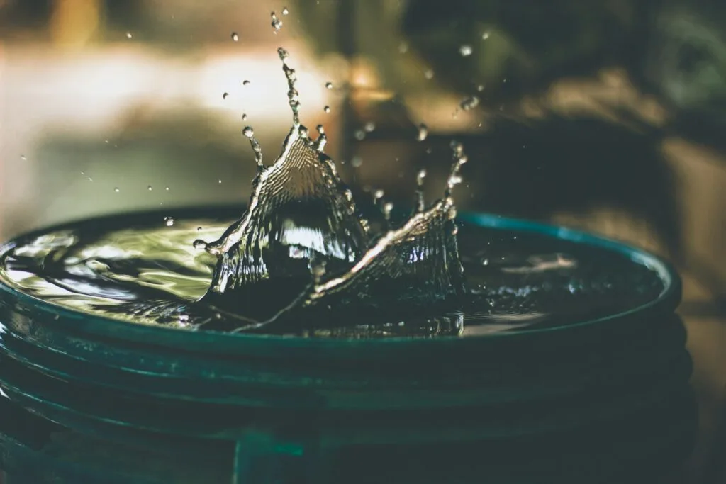 Electrolyzed water for gardening in a green bucket