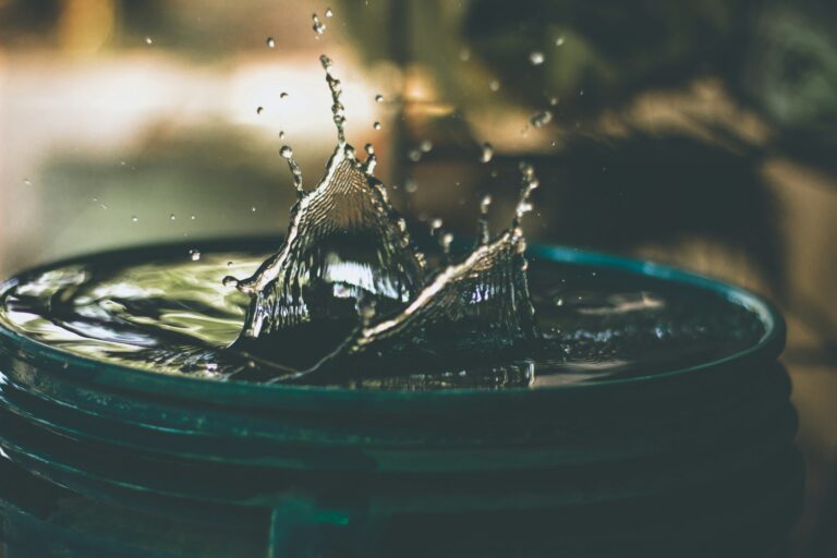 Electrolyzed water for gardening in a green bucket